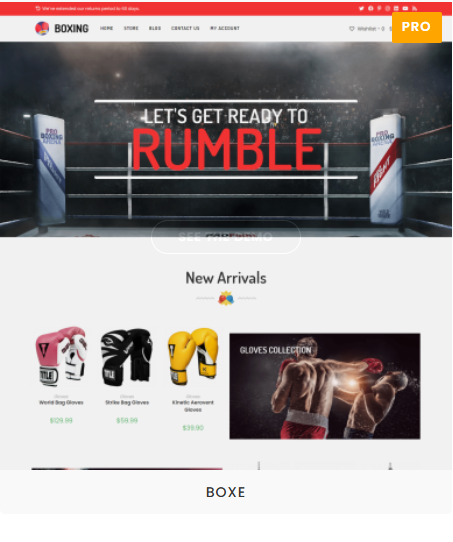 Wordpress Website Design Training